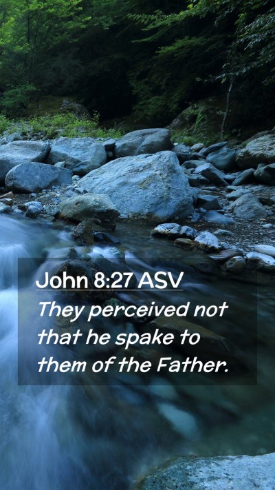 Picture 02 - John 8:27 ASV Mobile Phone Wallpaper - They perceived not that he spake to them of the - Mobile Bible Verse Wallpaper