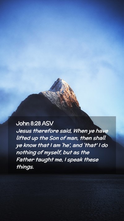 Picture 02 - John 8:28 ASV Mobile Phone Wallpaper - Jesus therefore said, When ye have lifted up the - Mobile Bible Verse Wallpaper