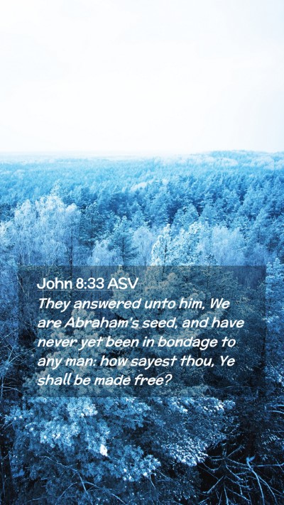 Picture 02 - John 8:33 ASV Mobile Phone Wallpaper - They answered unto him, We are Abraham's seed, - Mobile Bible Verse Wallpaper