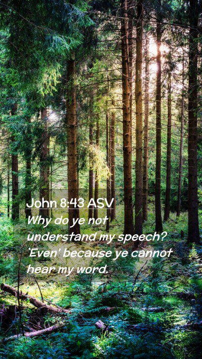 Picture 02 - John 8:43 ASV Mobile Phone Wallpaper - Why do ye not understand my speech? `Even' - Mobile Bible Verse Wallpaper