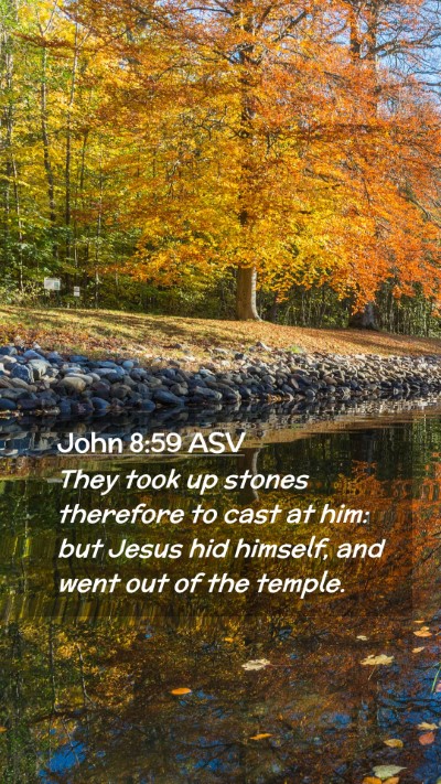 Picture 02 - John 8:59 ASV Mobile Phone Wallpaper - They took up stones therefore to cast at him: but - Mobile Bible Verse Wallpaper