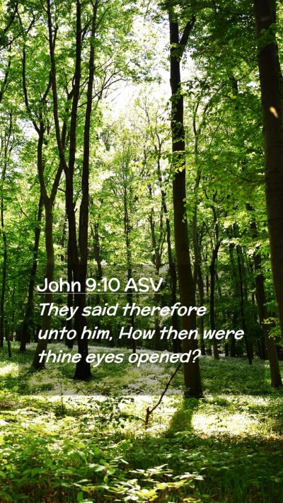 Picture 02 - John 9:10 ASV Mobile Phone Wallpaper - They said therefore unto him, How then were thine - Mobile Bible Verse Wallpaper