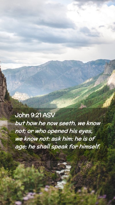 Picture 02 - John 9:21 ASV Mobile Phone Wallpaper - but how he now seeth, we know not; or who opened - Mobile Bible Verse Wallpaper