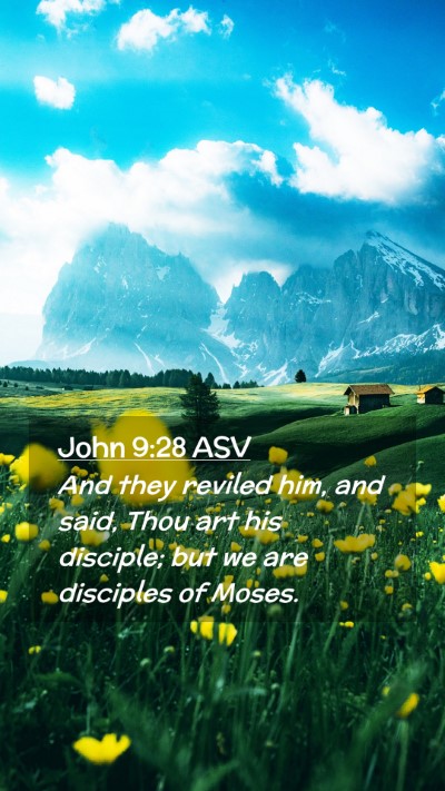 Picture 02 - John 9:28 ASV Mobile Phone Wallpaper - And they reviled him, and said, Thou art his - Mobile Bible Verse Wallpaper