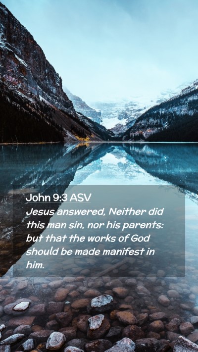 Picture 02 - John 9:3 ASV Mobile Phone Wallpaper - Jesus answered, Neither did this man sin, nor his - Mobile Bible Verse Wallpaper