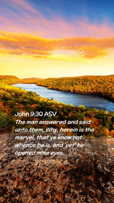 Picture 02 - John 9:30 ASV Mobile Phone Wallpaper - The man answered and said unto them, Why, herein - Mobile Bible Verse Wallpaper