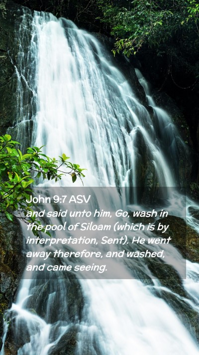 Picture 02 - John 9:7 ASV Mobile Phone Wallpaper - and said unto him, Go, wash in the pool of Siloam - Mobile Bible Verse Wallpaper