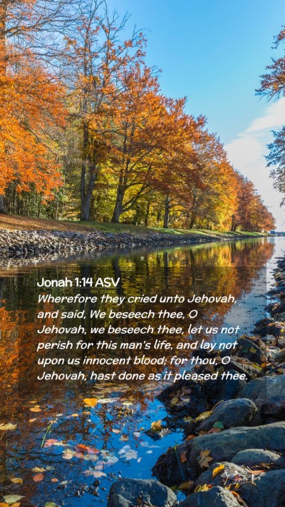Picture 02 - Jonah 1:14 ASV Mobile Phone Wallpaper - Wherefore they cried unto Jehovah, and said, We - Mobile Bible Verse Wallpaper