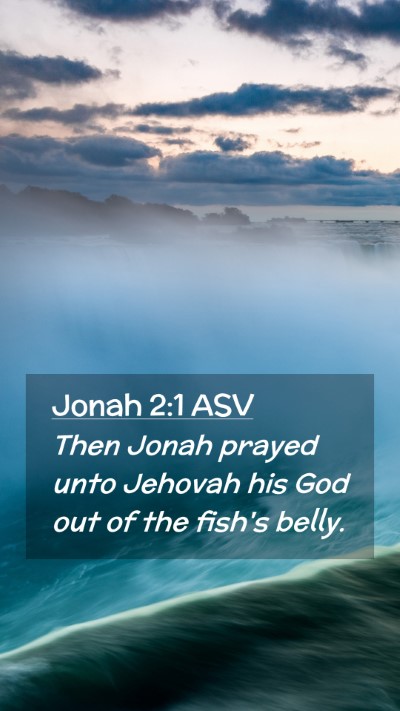 Picture 02 - Jonah 2:1 ASV Mobile Phone Wallpaper - Then Jonah prayed unto Jehovah his God out of the - Mobile Bible Verse Wallpaper