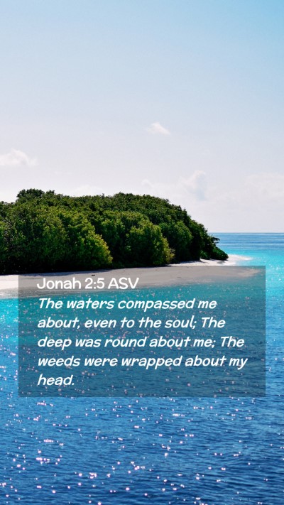 Picture 02 - Jonah 2:5 ASV Mobile Phone Wallpaper - The waters compassed me about, even to the soul; - Mobile Bible Verse Wallpaper