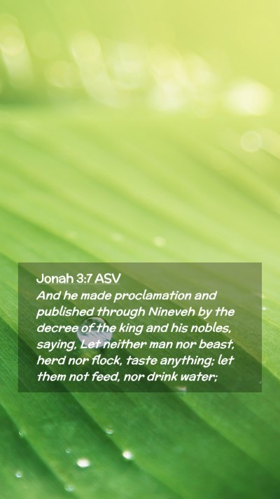 Picture 02 - Jonah 3:7 ASV Mobile Phone Wallpaper - And he made proclamation and published through - Mobile Bible Verse Wallpaper