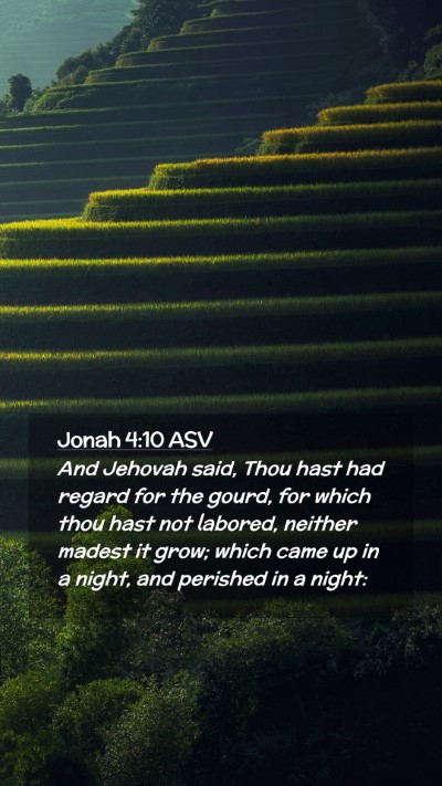 Picture 02 - Jonah 4:10 ASV Mobile Phone Wallpaper - And Jehovah said, Thou hast had regard for the - Mobile Bible Verse Wallpaper