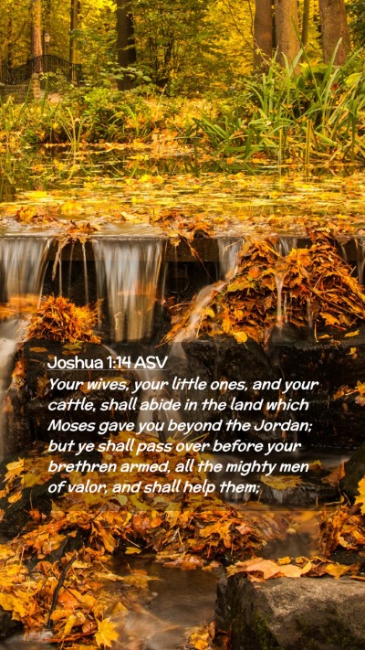 Picture 02 - Joshua 1:14 ASV Mobile Phone Wallpaper - Your wives, your little ones, and your cattle, - Mobile Bible Verse Wallpaper