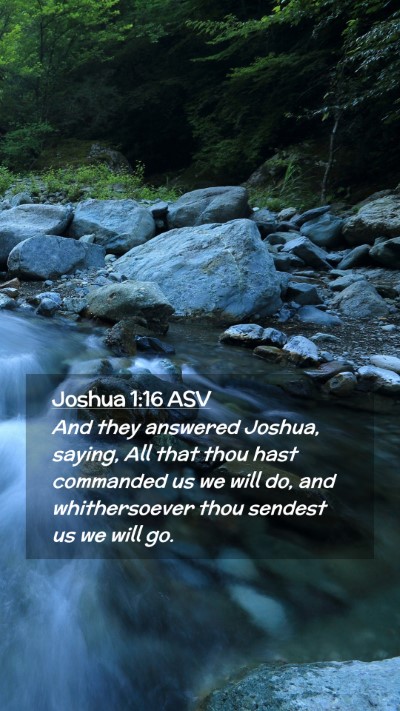 Picture 02 - Joshua 1:16 ASV Mobile Phone Wallpaper - And they answered Joshua, saying, All that thou - Mobile Bible Verse Wallpaper