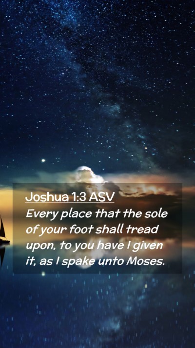 Picture 02 - Joshua 1:3 ASV Mobile Phone Wallpaper - Every place that the sole of your foot shall - Mobile Bible Verse Wallpaper