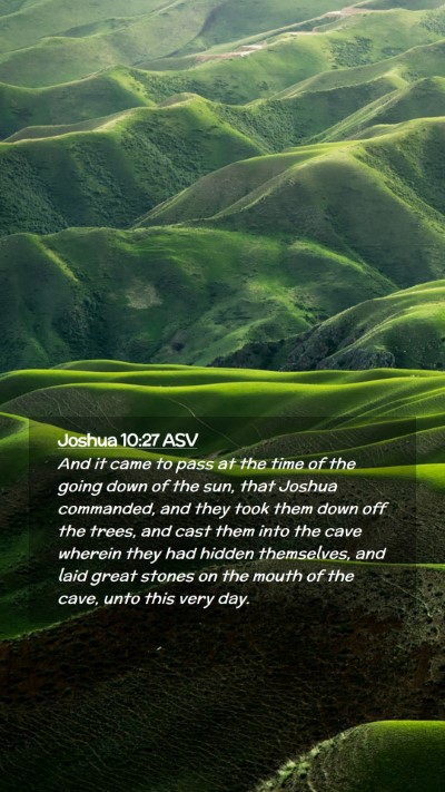 Picture 02 - Joshua 10:27 ASV Mobile Phone Wallpaper - And it came to pass at the time of the going down - Mobile Bible Verse Wallpaper