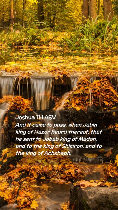 Picture 02 - Joshua 11:1 ASV Mobile Phone Wallpaper - And it came to pass, when Jabin king of Hazor - Mobile Bible Verse Wallpaper