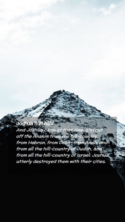 Picture 02 - Joshua 11:21 ASV Mobile Phone Wallpaper - And Joshua came at that time, and cut off the - Mobile Bible Verse Wallpaper