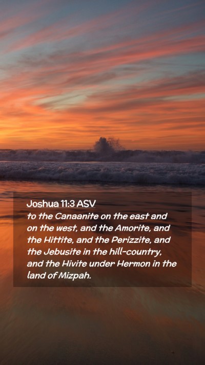 Picture 02 - Joshua 11:3 ASV Mobile Phone Wallpaper - to the Canaanite on the east and on the west, and - Mobile Bible Verse Wallpaper