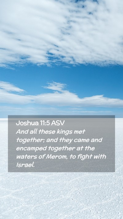 Picture 02 - Joshua 11:5 ASV Mobile Phone Wallpaper - And all these kings met together; and they came - Mobile Bible Verse Wallpaper