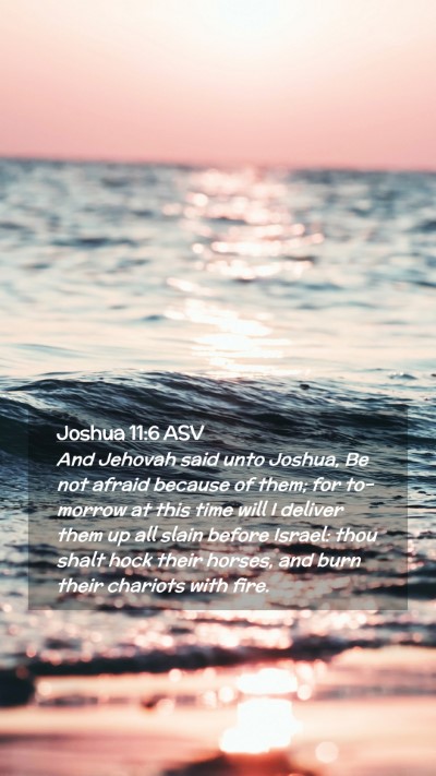 Picture 02 - Joshua 11:6 ASV Mobile Phone Wallpaper - And Jehovah said unto Joshua, Be not afraid - Mobile Bible Verse Wallpaper
