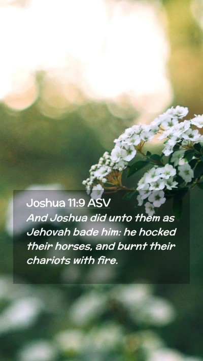 Picture 02 - Joshua 11:9 ASV Mobile Phone Wallpaper - And Joshua did unto them as Jehovah bade him: he - Mobile Bible Verse Wallpaper