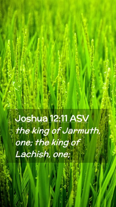Picture 02 - Joshua 12:11 ASV Mobile Phone Wallpaper - the king of Jarmuth, one; the king of Lachish, - Mobile Bible Verse Wallpaper