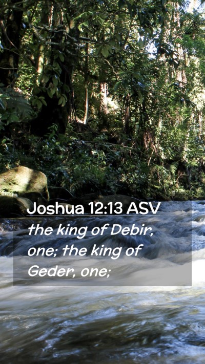 Picture 02 - Joshua 12:13 ASV Mobile Phone Wallpaper - the king of Debir, one; the king of Geder, - Mobile Bible Verse Wallpaper