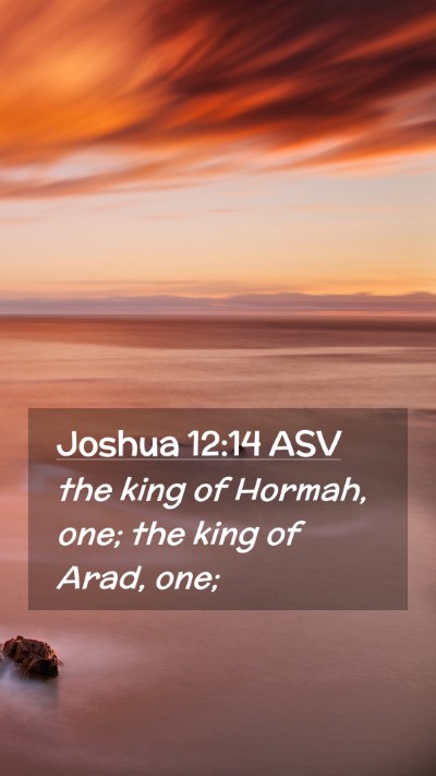 Picture 02 - Joshua 12:14 ASV Mobile Phone Wallpaper - the king of Hormah, one; the king of Arad, - Mobile Bible Verse Wallpaper