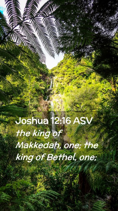 Picture 02 - Joshua 12:16 ASV Mobile Phone Wallpaper - the king of Makkedah, one; the king of Bethel, - Mobile Bible Verse Wallpaper