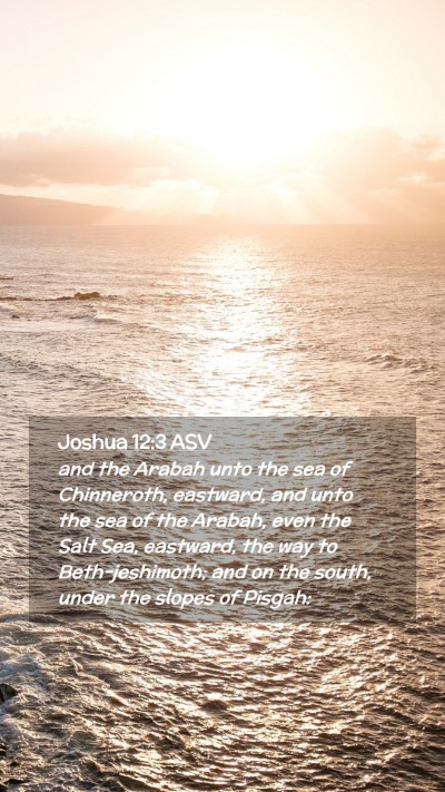 Picture 02 - Joshua 12:3 ASV Mobile Phone Wallpaper - and the Arabah unto the sea of Chinneroth, - Mobile Bible Verse Wallpaper