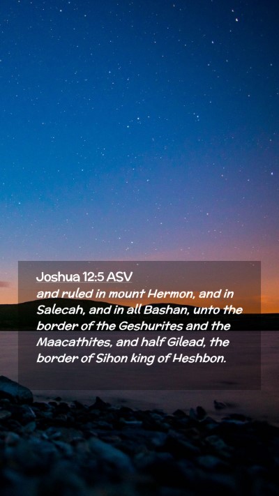 Picture 02 - Joshua 12:5 ASV Mobile Phone Wallpaper - and ruled in mount Hermon, and in Salecah, and in - Mobile Bible Verse Wallpaper