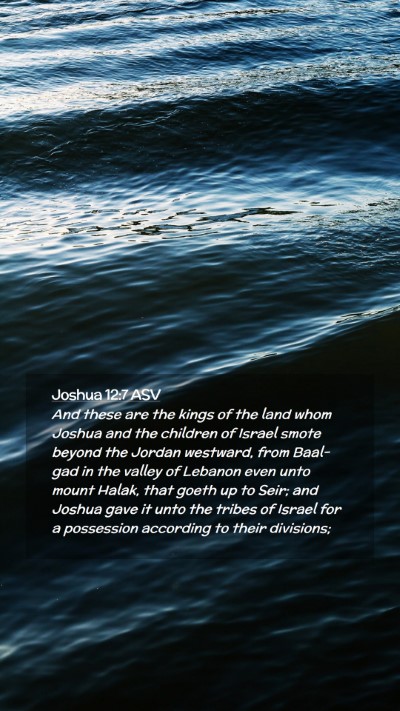 Picture 02 - Joshua 12:7 ASV Mobile Phone Wallpaper - And these are the kings of the land whom Joshua - Mobile Bible Verse Wallpaper