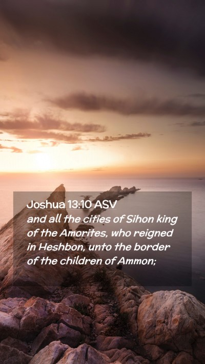 Picture 02 - Joshua 13:10 ASV Mobile Phone Wallpaper - and all the cities of Sihon king of the Amorites, - Mobile Bible Verse Wallpaper
