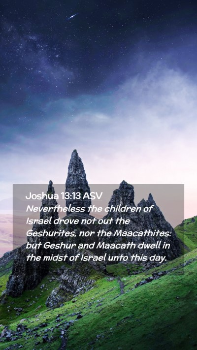 Picture 02 - Joshua 13:13 ASV Mobile Phone Wallpaper - Nevertheless the children of Israel drove not out - Mobile Bible Verse Wallpaper