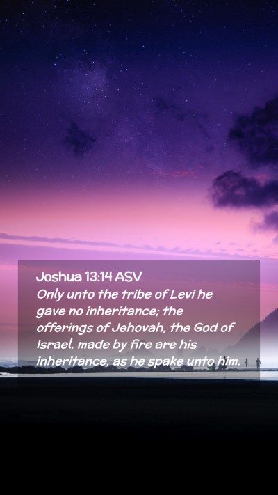 Picture 02 - Joshua 13:14 ASV Mobile Phone Wallpaper - Only unto the tribe of Levi he gave no - Mobile Bible Verse Wallpaper