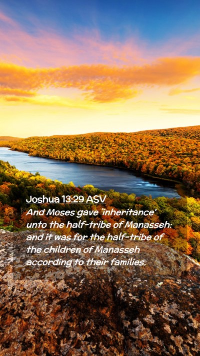 Picture 02 - Joshua 13:29 ASV Mobile Phone Wallpaper - And Moses gave `inheritance' unto the half-tribe - Mobile Bible Verse Wallpaper