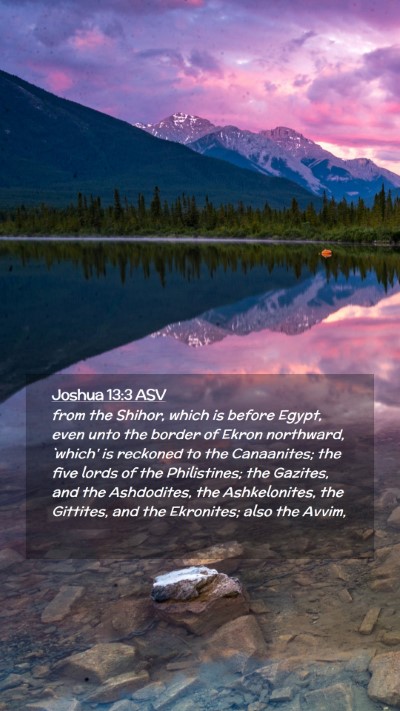 Picture 02 - Joshua 13:3 ASV Mobile Phone Wallpaper - from the Shihor, which is before Egypt, even unto - Mobile Bible Verse Wallpaper