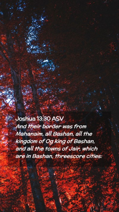 Picture 02 - Joshua 13:30 ASV Mobile Phone Wallpaper - And their border was from Mahanaim, all Bashan, - Mobile Bible Verse Wallpaper