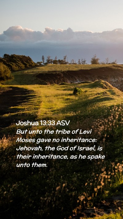 Picture 02 - Joshua 13:33 ASV Mobile Phone Wallpaper - But unto the tribe of Levi Moses gave no - Mobile Bible Verse Wallpaper