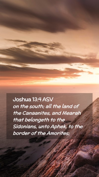 Picture 02 - Joshua 13:4 ASV Mobile Phone Wallpaper - on the south; all the land of the Canaanites, and - Mobile Bible Verse Wallpaper