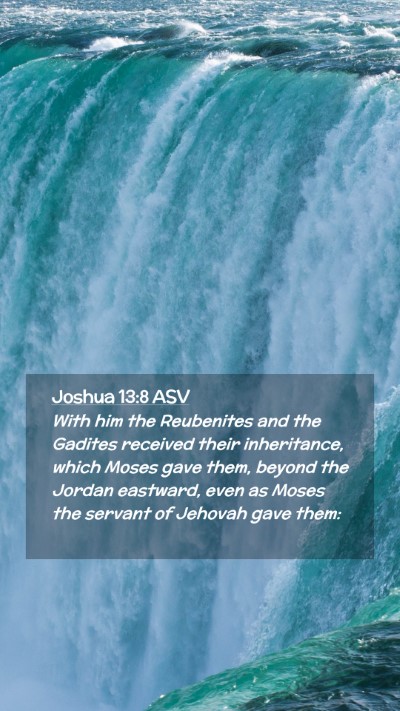 Picture 02 - Joshua 13:8 ASV Mobile Phone Wallpaper - With him the Reubenites and the Gadites received - Mobile Bible Verse Wallpaper