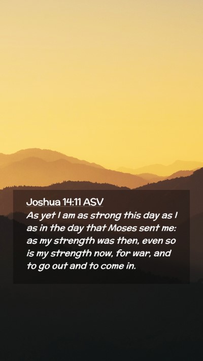 Picture 02 - Joshua 14:11 ASV Mobile Phone Wallpaper - As yet I am as strong this day as I as in the day - Mobile Bible Verse Wallpaper