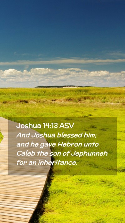 Picture 02 - Joshua 14:13 ASV Mobile Phone Wallpaper - And Joshua blessed him; and he gave Hebron unto - Mobile Bible Verse Wallpaper