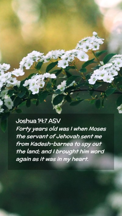 Picture 02 - Joshua 14:7 ASV Mobile Phone Wallpaper - Forty years old was I when Moses the servant of - Mobile Bible Verse Wallpaper