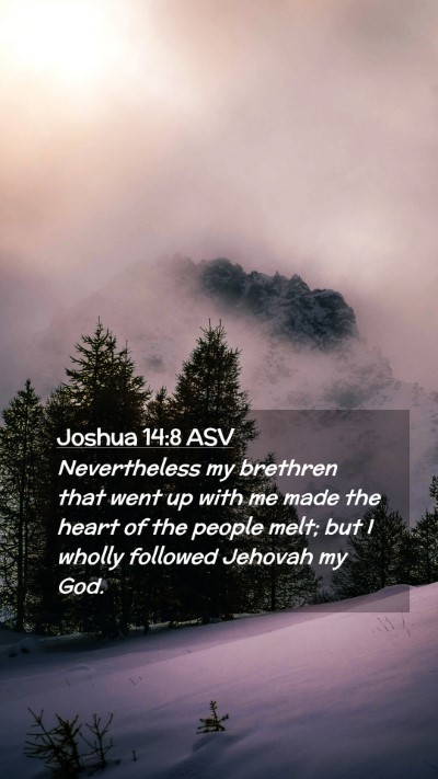 Picture 02 - Joshua 14:8 ASV Mobile Phone Wallpaper - Nevertheless my brethren that went up with me - Mobile Bible Verse Wallpaper
