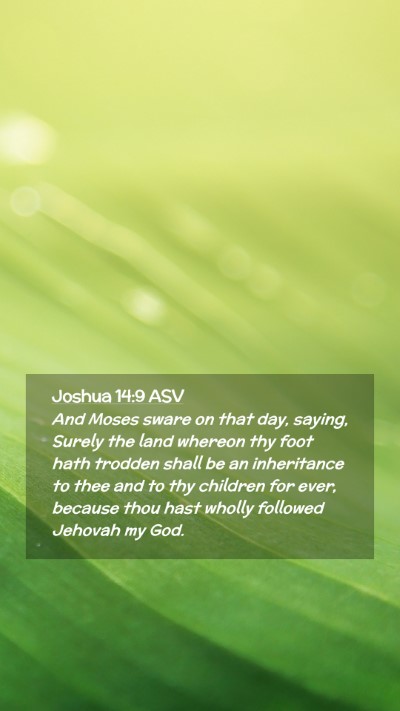 Picture 02 - Joshua 14:9 ASV Mobile Phone Wallpaper - And Moses sware on that day, saying, Surely the - Mobile Bible Verse Wallpaper