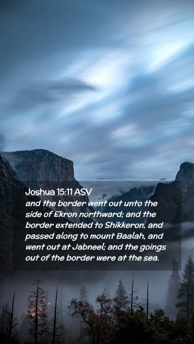 Picture 02 - Joshua 15:11 ASV Mobile Phone Wallpaper - and the border went out unto the side of Ekron - Mobile Bible Verse Wallpaper
