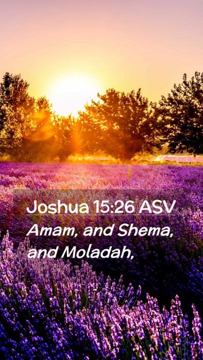 Picture 02 - Joshua 15:26 ASV Mobile Phone Wallpaper - Amam, and Shema, and - Mobile Bible Verse Wallpaper