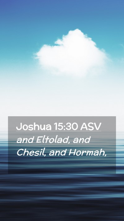 Picture 02 - Joshua 15:30 ASV Mobile Phone Wallpaper - and Eltolad, and Chesil, and - Mobile Bible Verse Wallpaper